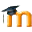 alt text here